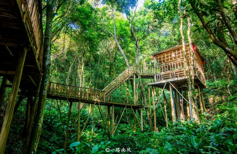 广东,清远,英德,旅游胜地,树屋