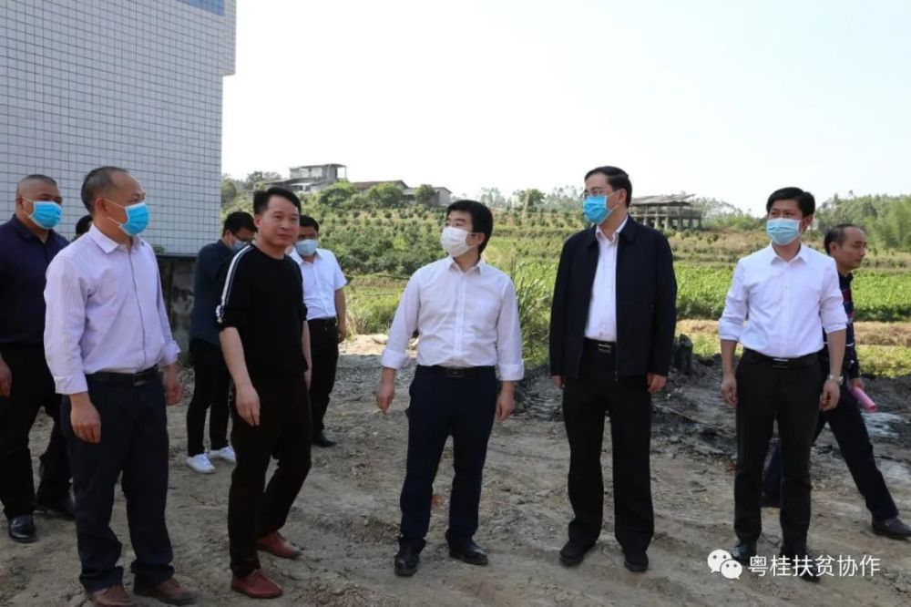 广东省第二扶贫协作工作组到环江县考察调研粤桂扶贫协作工作