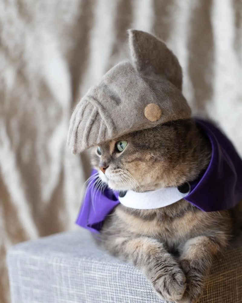 对"铲屎官"来说不可能的,光是给猫咪戴帽子就有一百种玩法!