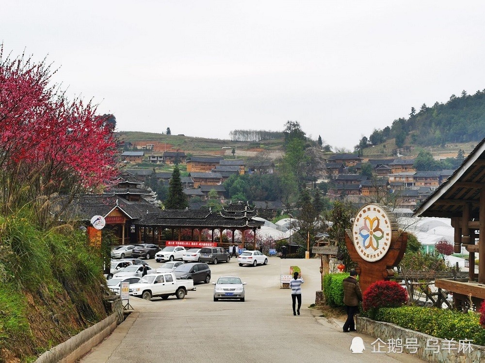 黔东南旅游,黔东南乡村旅游,乌羊麻,乌羊麻苗寨,麻江乌羊麻