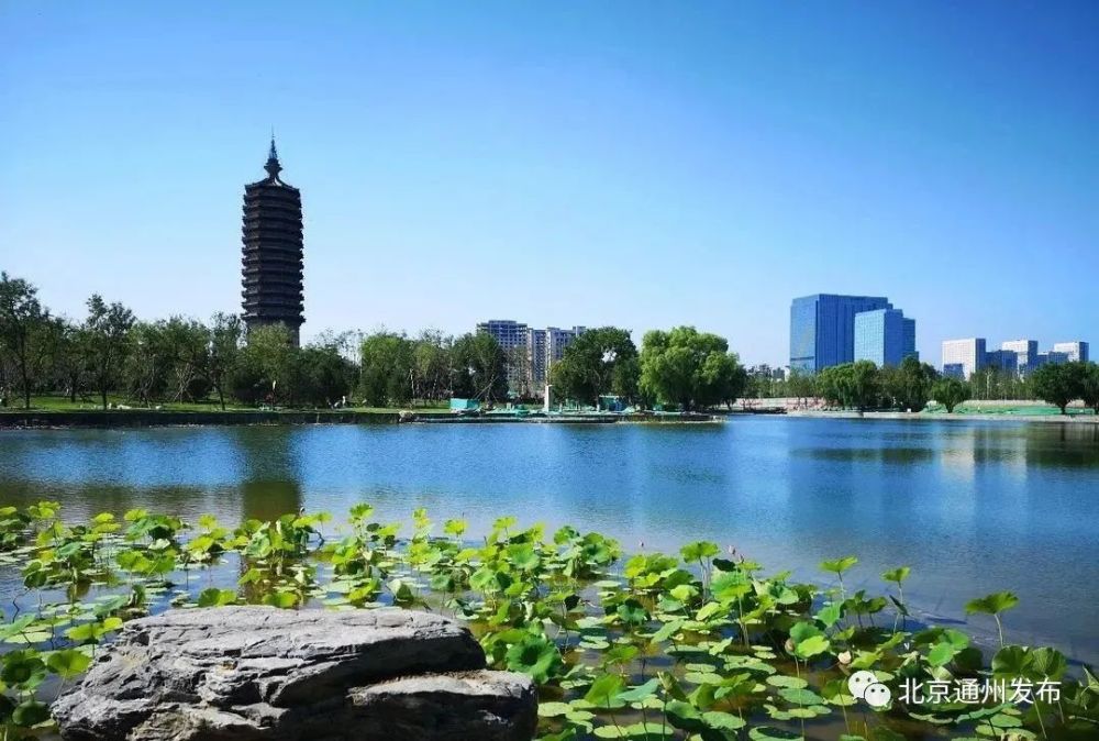 通州区,大运河森林公园,大运河文化广场,游玩,京杭大运河,西海子公园