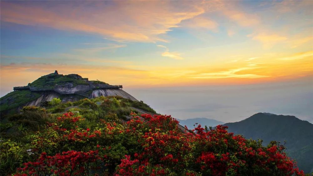 亲子游,武夷山风景名胜区,福建,金铙山,先锋书店