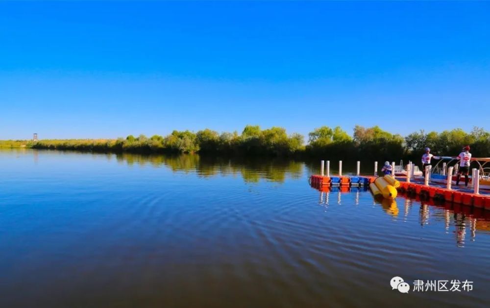 肃州区,美景,酒泉公园,旅游景区,湿地