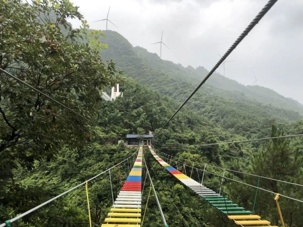 大峡谷,旅游景区,玻璃桥,南宁,马山县,峡谷