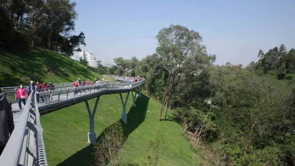 广州,打卡8公里"空中步道",临水"碧道",云台花海,不出