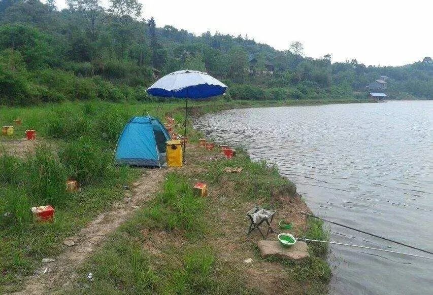 水库钓鱼的注意事项及钓鲤鱼鲫鱼的技巧