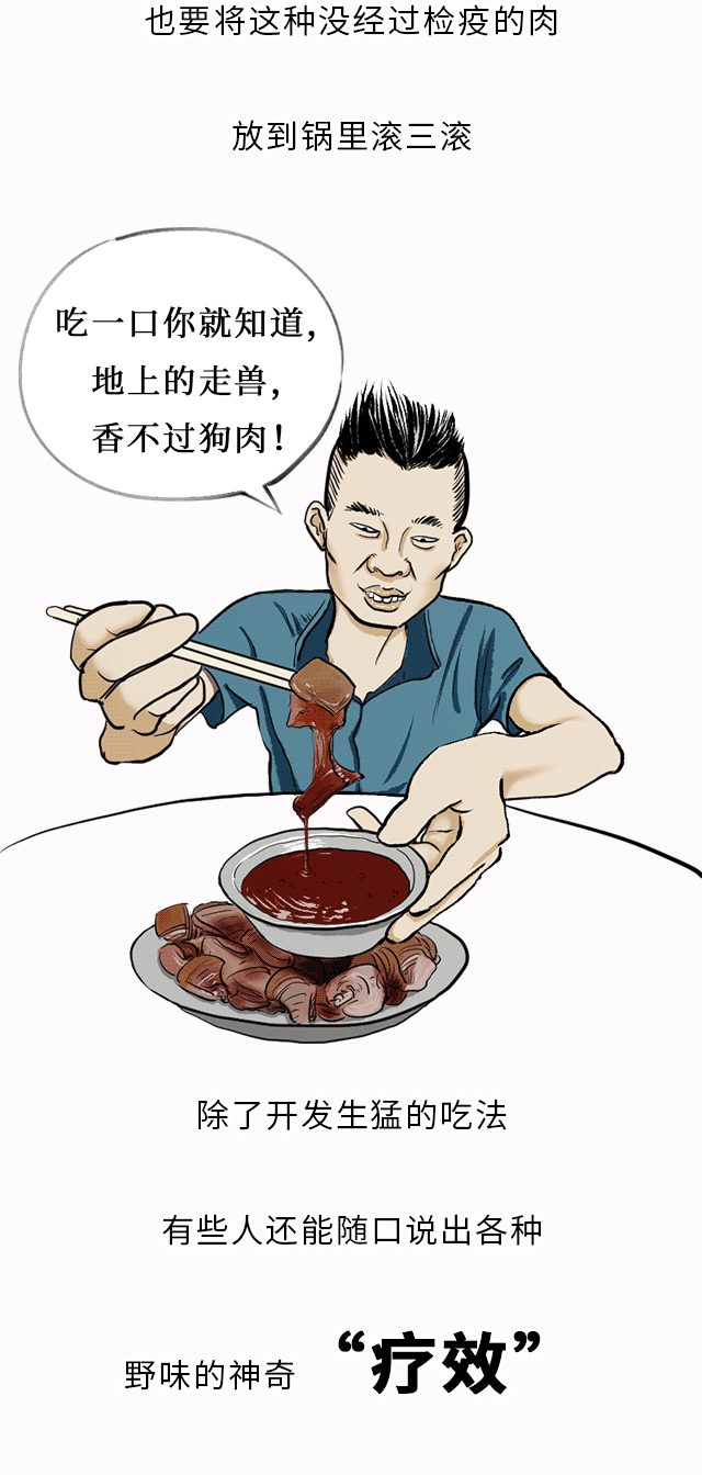 人类吃野味迷惑行为大赏