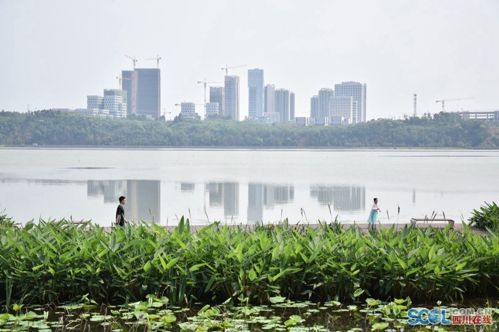 五一长假 市民到成都兴隆湖生态湿地公园感受慢时光