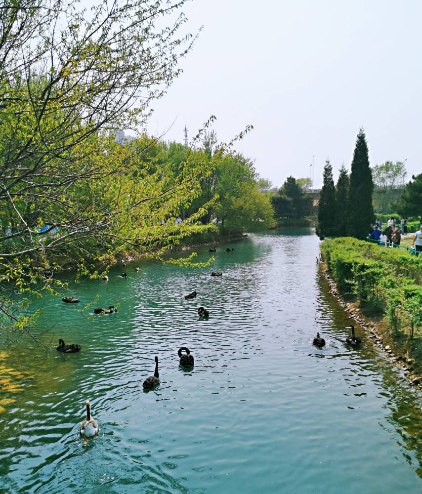 春天花开,带你走进沈阳免费的动物乐园,长白岛森林公园