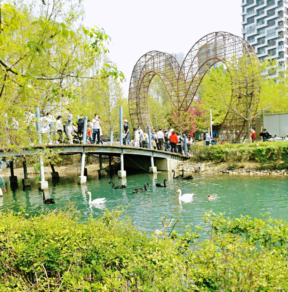 春天花开,带你走进沈阳免费的动物乐园,长白岛森林公园