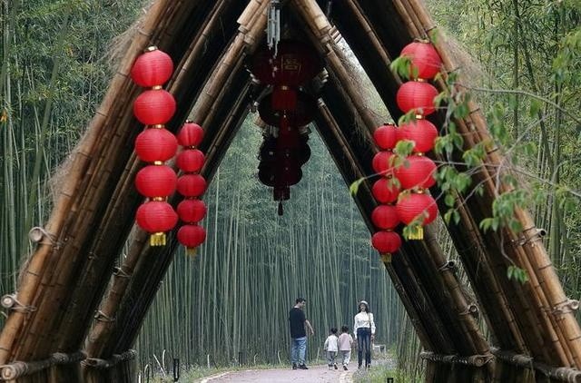 绿道,杭州,双溪,径山镇,竹海