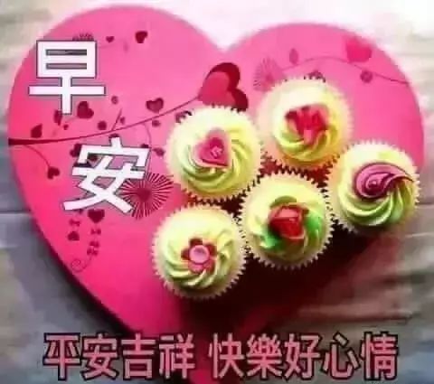 星期六朋友圈最新正能量问候语录 早上好鲜花祝福带字