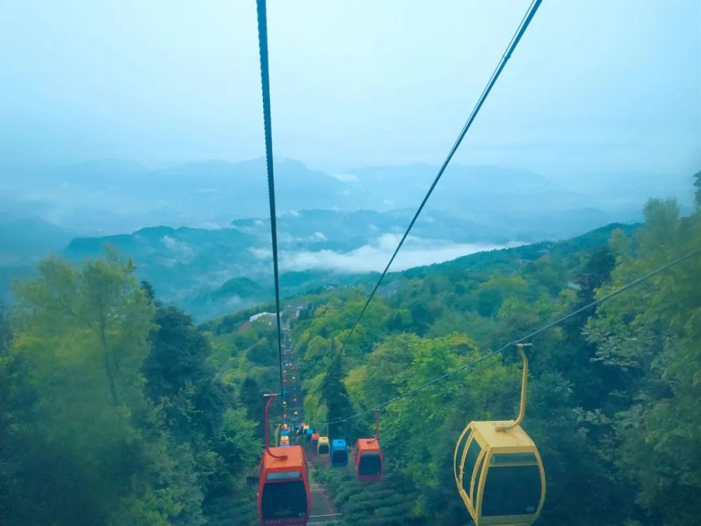 景区,蒙顶山,门票,身份证,索道,高血压,彭青霞,退役军人,雅安