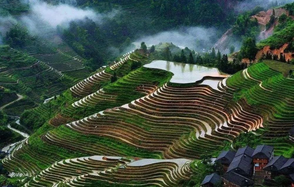 龙脊梯田,平安壮族梯田,梯田,龙胜各族自治县,观景点,景区