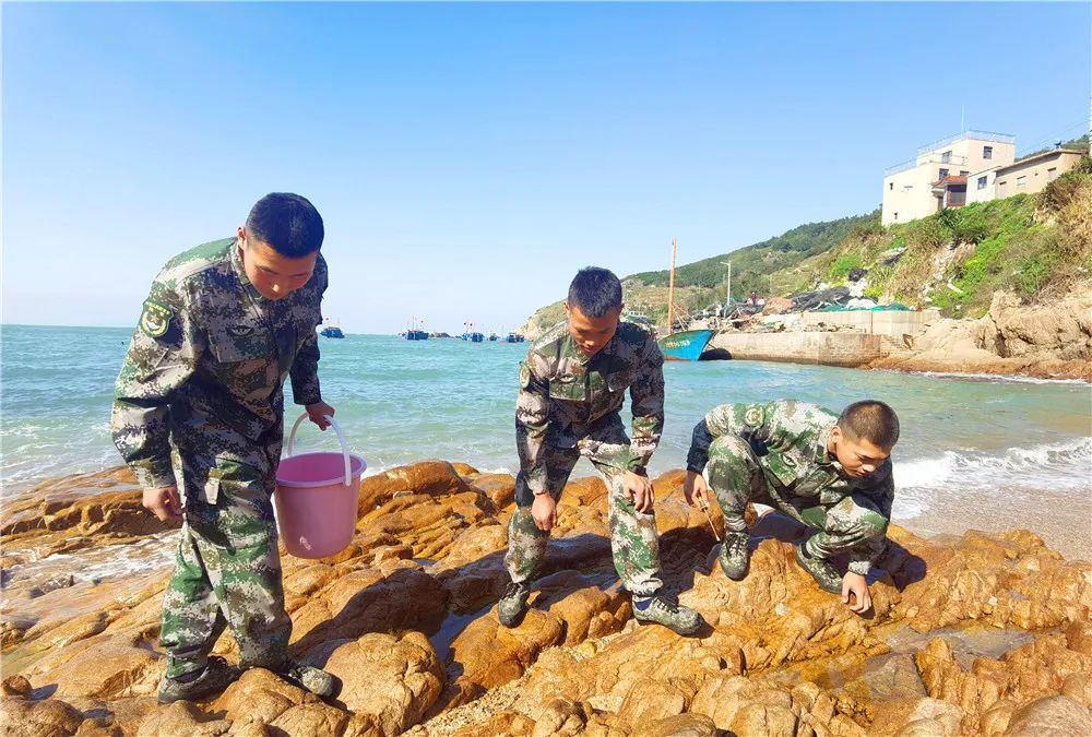 捡海螺,抓螃蟹,挖皮皮虾……走,跟着兵哥赶海去!