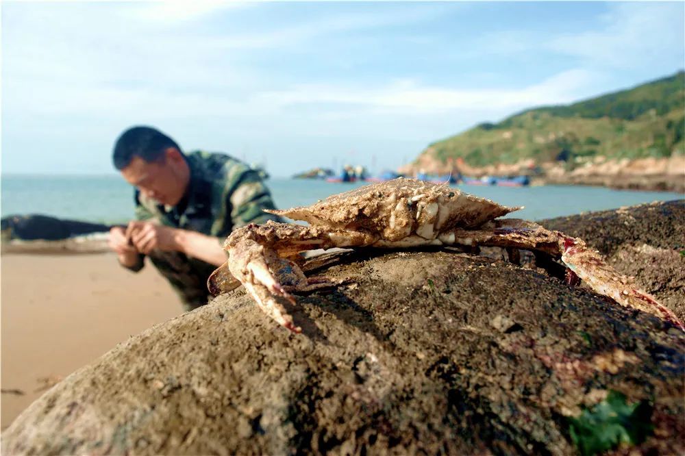 捡海螺,抓螃蟹,挖皮皮虾……走,跟着兵哥赶海去!