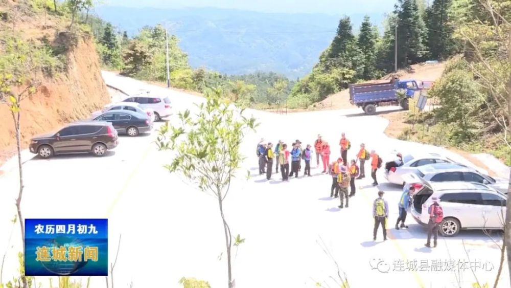 高山杜鹃,杜鹃花,云山,邹定专,朋口镇,金龙村