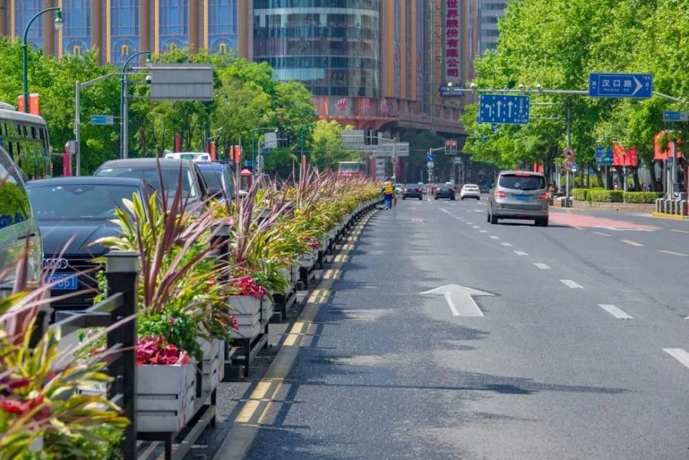 西藏南路等道路花箱采用三角梅搭配各色南非万寿菊,常春藤等,景观效果