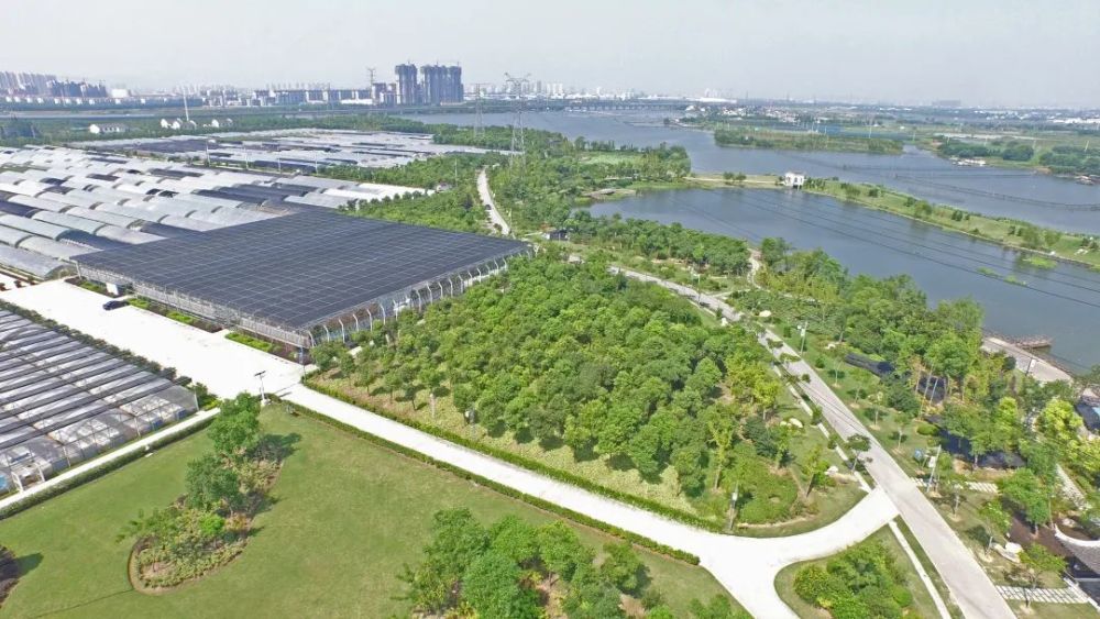 锡澄运河公园,公园,湿地公园,体育公园,慢行步道
