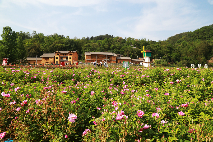 桃花岛,竹溪,景区