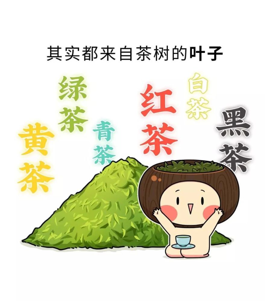 神奇的东方树叶——茶文化的起源