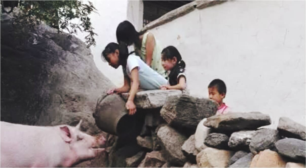 老照片:80年代的农村生活旧影,最后一张很多人没有做过