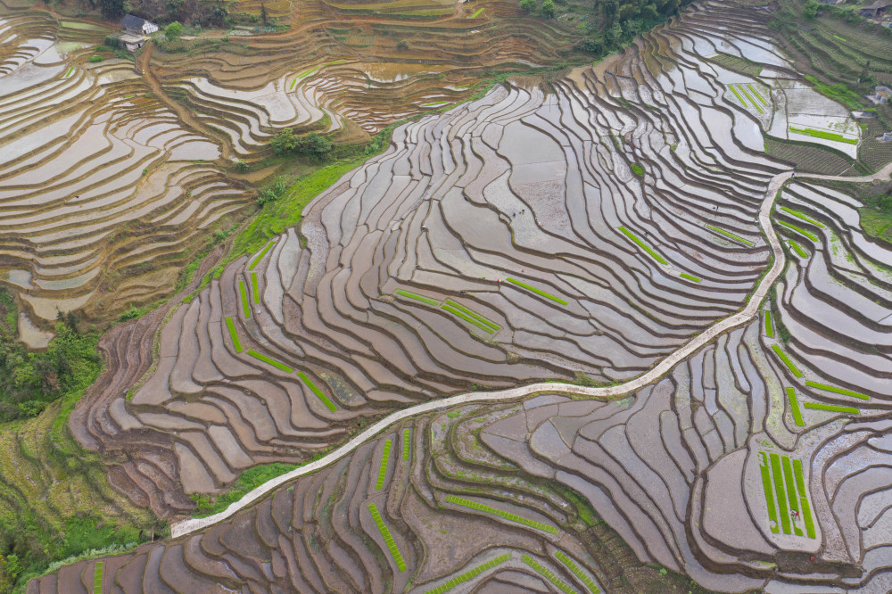 四川珙县:水润梯田