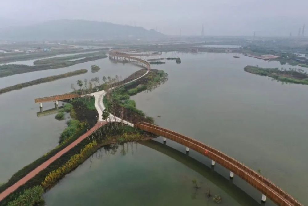 中午吃完饭,休息整顿 下午两点来到大门口湿地公园 欣赏美如画的湿地