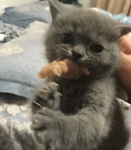 吃西瓜被抓现行,这化妆技术有点生疏