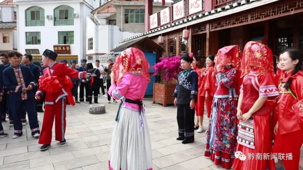 黔南这个县月季花开香满园,布依族婚俗引客来