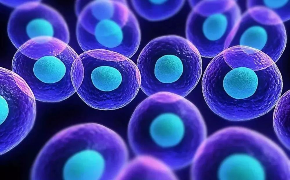 物理,科学,科技,细胞,生物