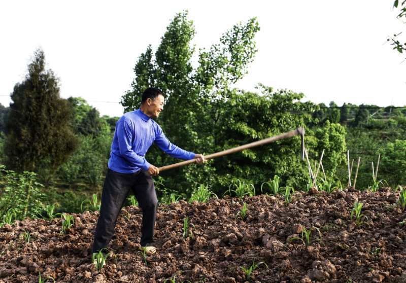 农民不种地,粮食不够吃的,土地撂荒,你怎么看这件事?