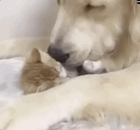 亲亲抱抱举高高,这都是初级操作