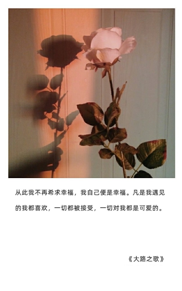 生活处处有惊喜,相信本身就是美好的事