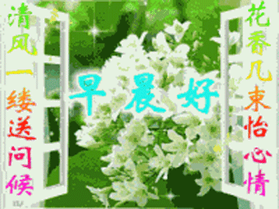 2019新版早上好暖心祝福动态图片 2019漂亮清晨好动态表情包