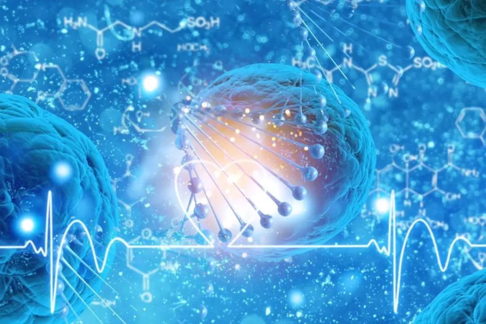 人类免疫缺陷病毒,细胞,科学家,扁桃体
