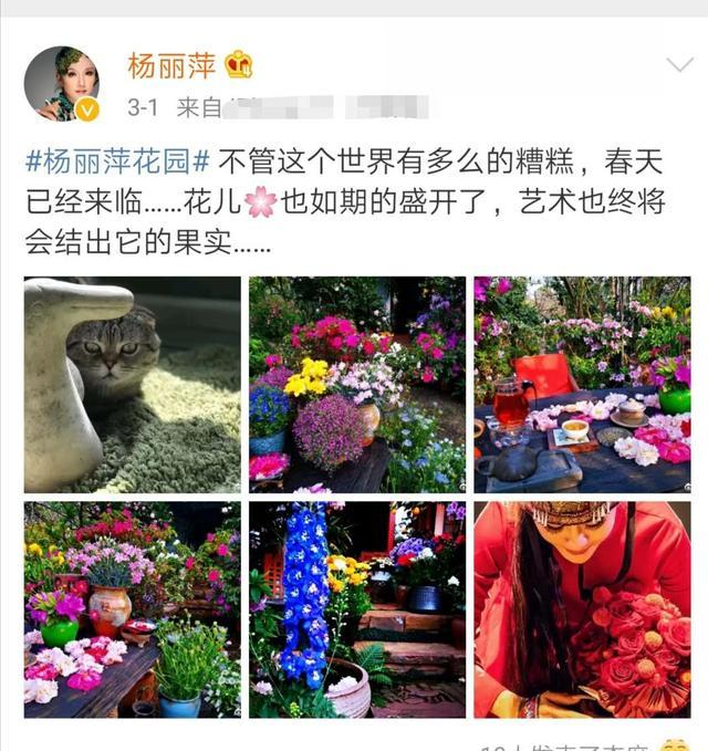 61岁杨丽萍私家花园曝光,梦幻花海似仙境,网友直呼羡慕!