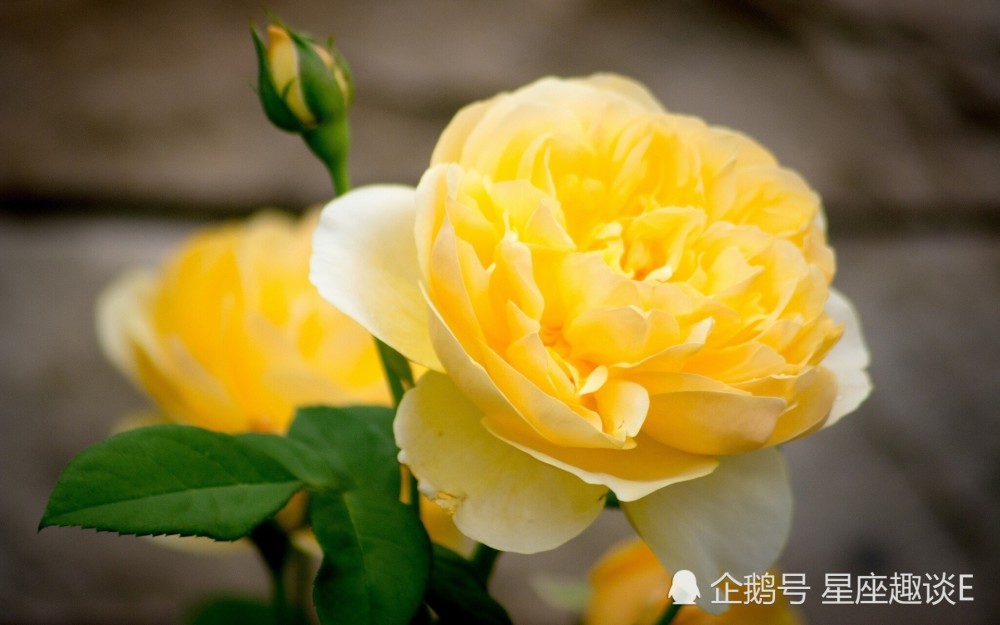 5月5日星座运势 金牛信心十足 狮子目光长远 摩羯头脑清晰 看点快报