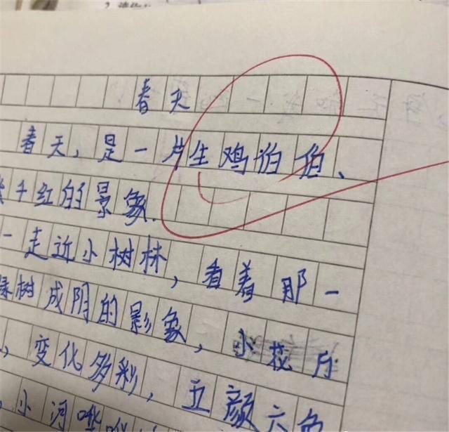 小学生答题"错别字"闹笑话,网友笑到肚子疼:不说相声可惜了