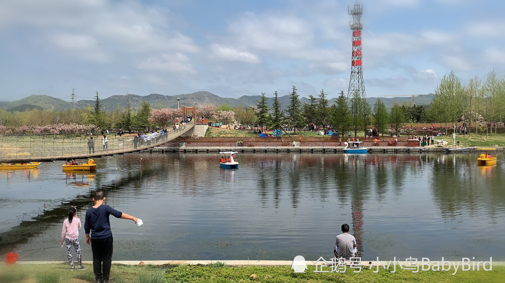 威海羊亭河省级湿地公园