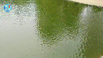 陕西这里已下冰雹!西安的雨也安排上了!