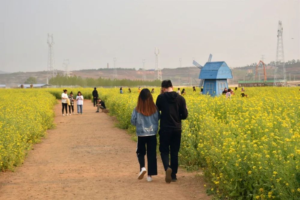 油菜花,晋城,神农镇,老铁