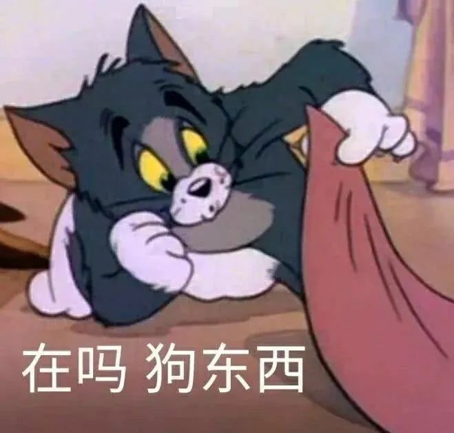 朋友圈,朋友圈文案,沙雕表情包,表情包,沙雕