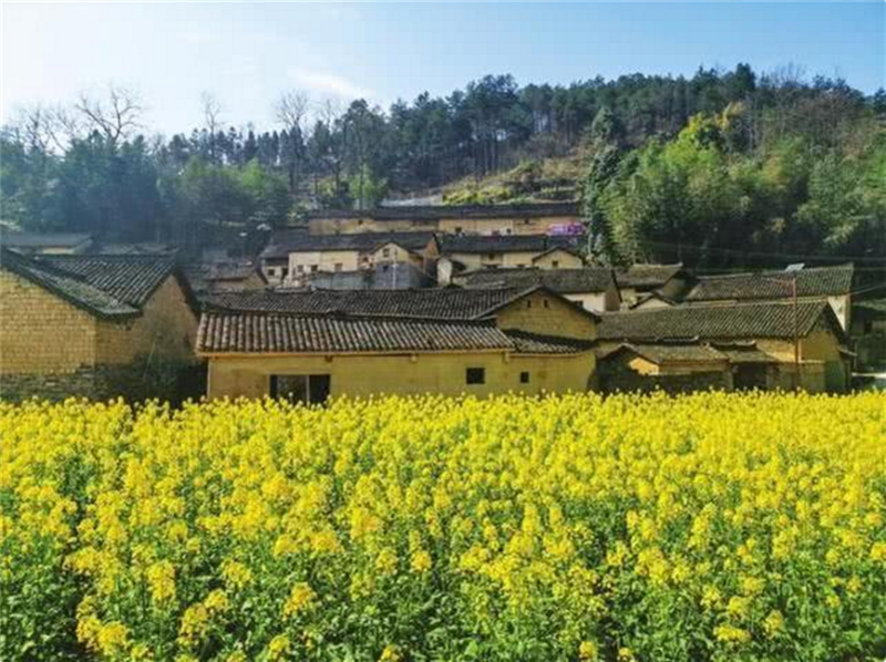 竹山村,凤凰古城,民宿,村落