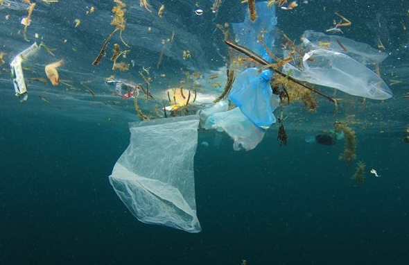 海洋垃圾,塑料,海洋生物