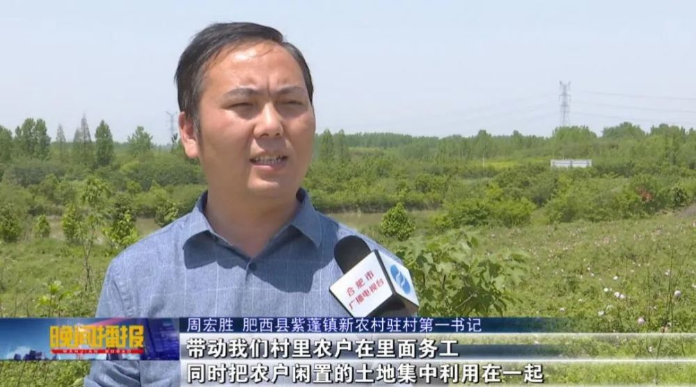 玫瑰,紫蓬镇,肥西县,大马士革,玫瑰园,紫蓬山