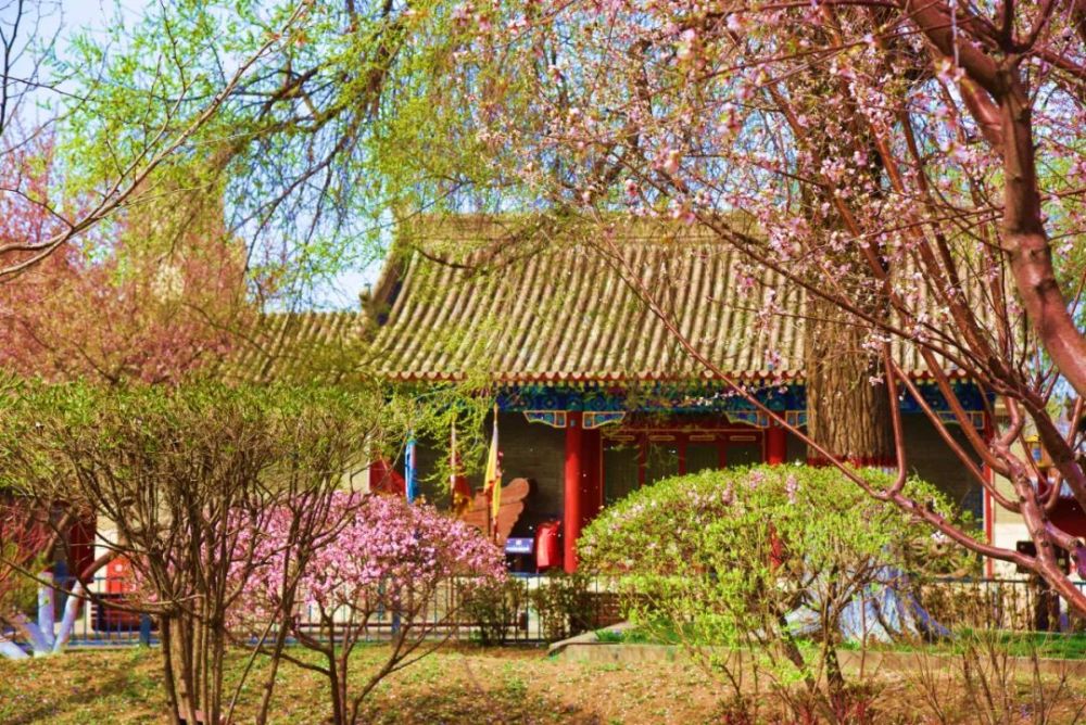 畅游公主府公园,感受初夏美景