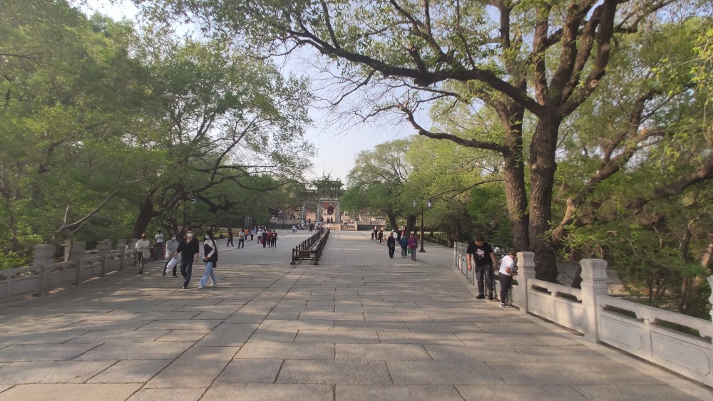 沈阳北陵公园,苍松翠柏,鲜花盛开,真是美丽的地方!