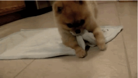 eating ></p></a> washing. 晚上洗澡,意味着我们想在热水下淋多久就淋多久.