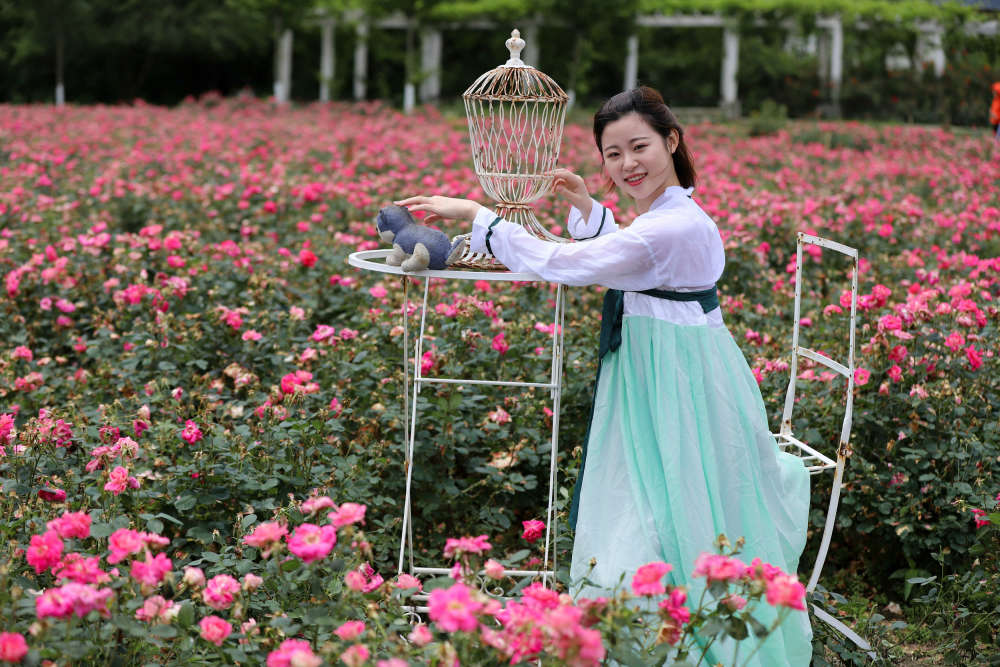 武汉近郊的赏花地:3800亩,160种玫瑰,整个湖北绝无仅有